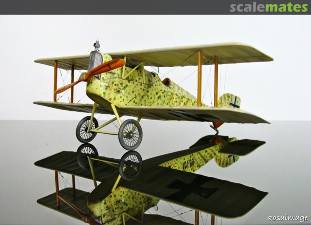 View album, image #1 View album, image #1