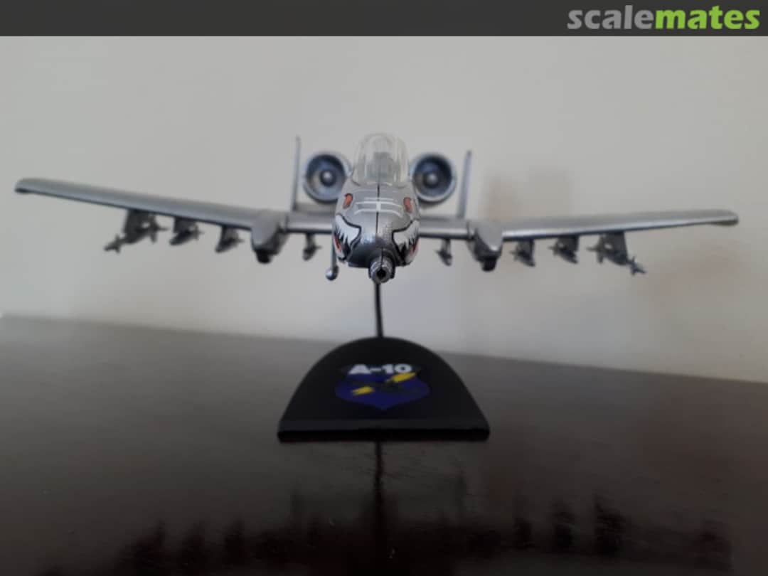 View album, image #7 View album, image #7