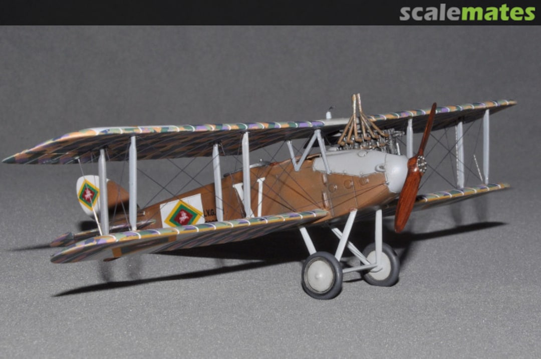 View album, image #1 View album, image #1