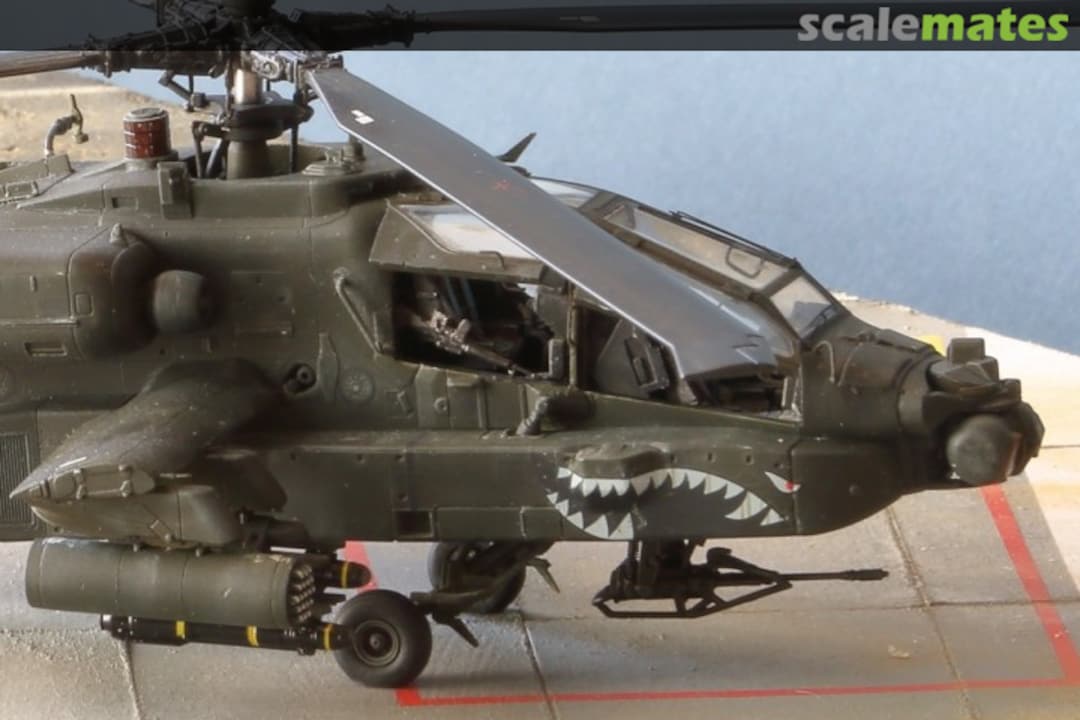 View album, image #1 View album, image #1