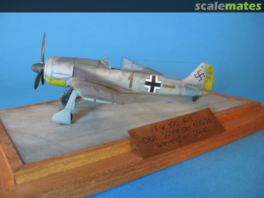 View album, image #1 View album, image #1