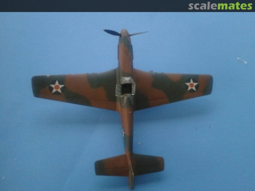 View album, image #6 View album, image #6