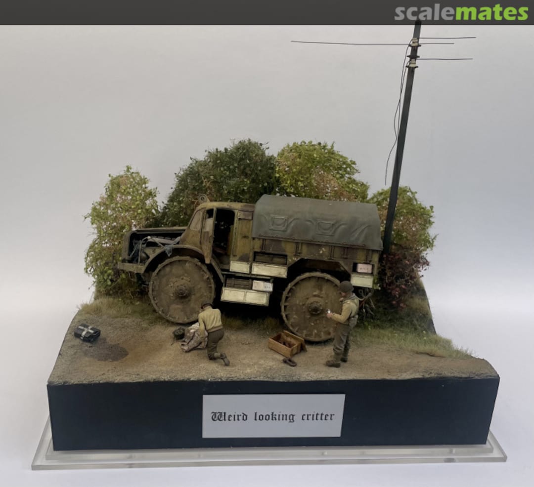 View album, image #82 View album, image #82