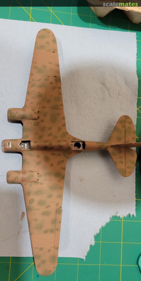 View album, image #3 View album, image #3