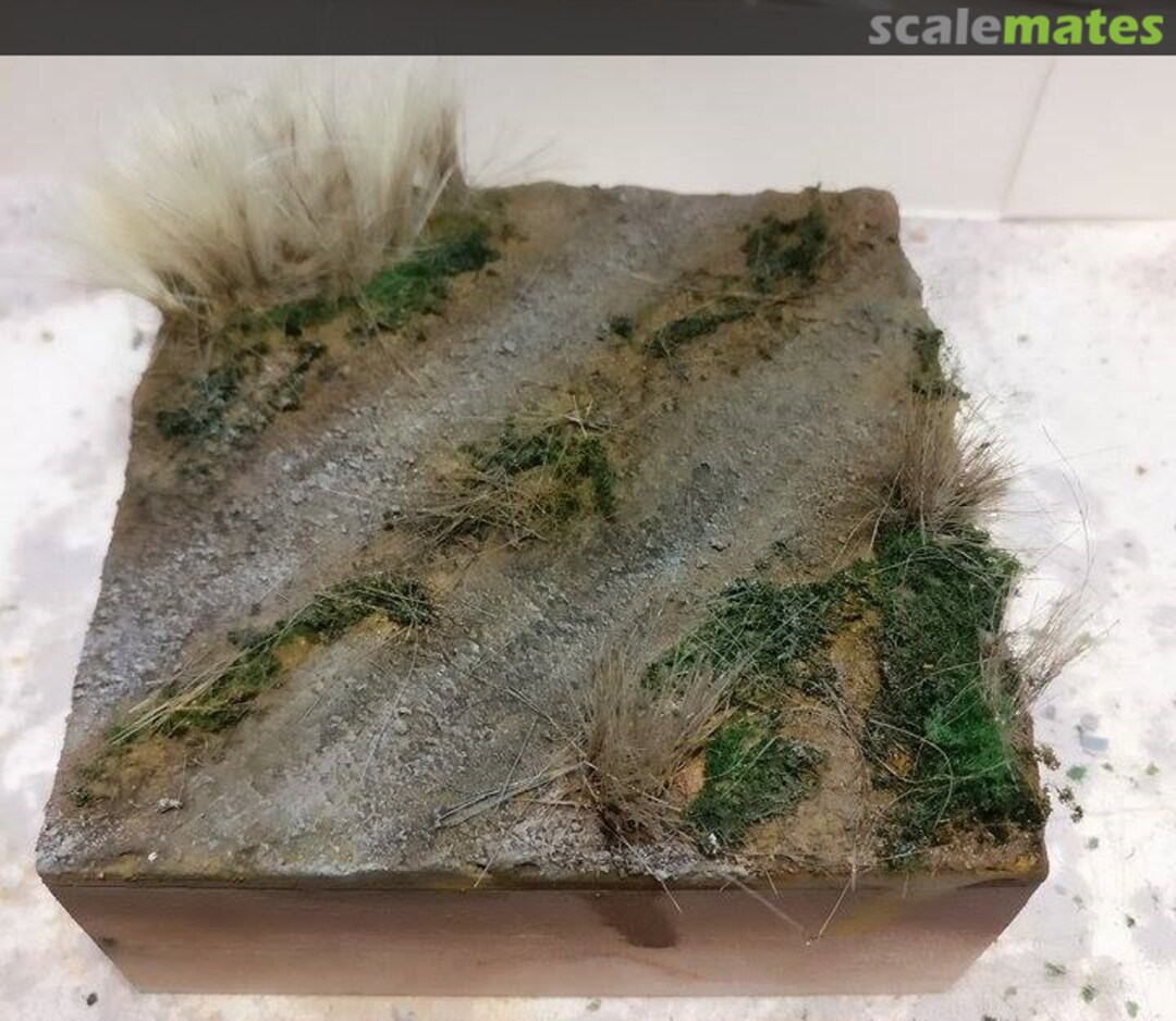 View album, image #4