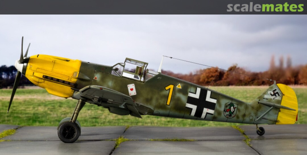 View album, image #1 View album, image #1