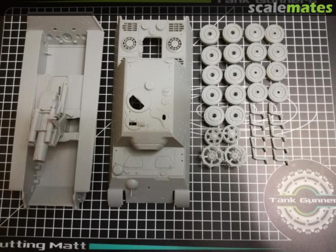 View album, image #1 View album, image #1