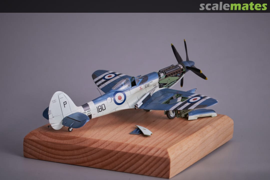 View album, image #26 View album, image #26