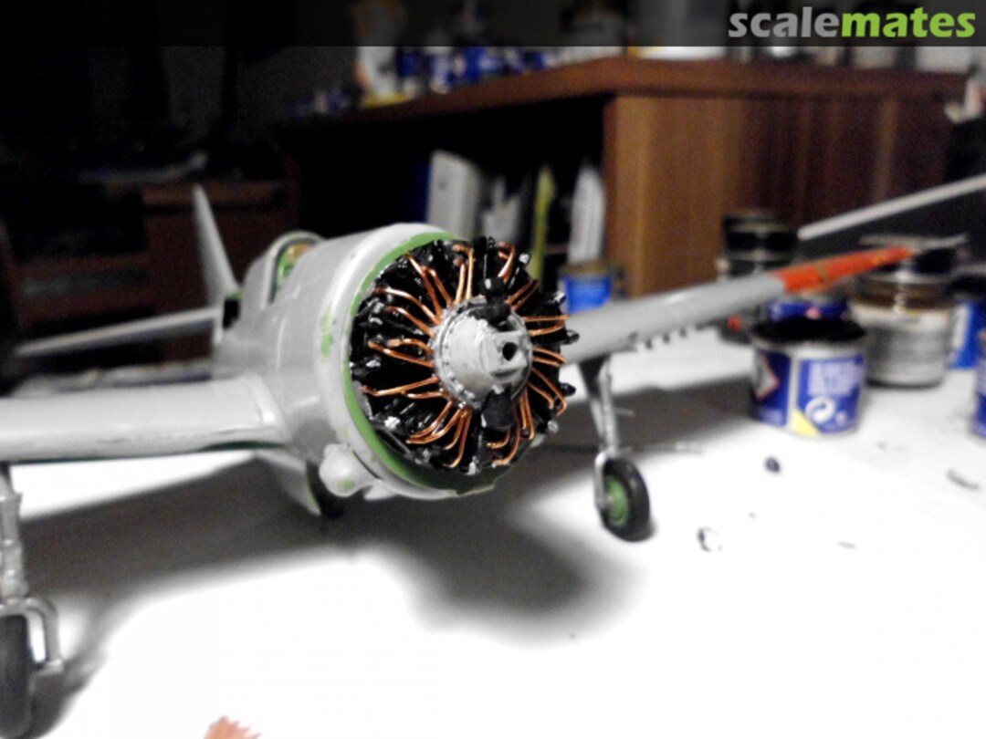 View album, image #16 View album, image #16