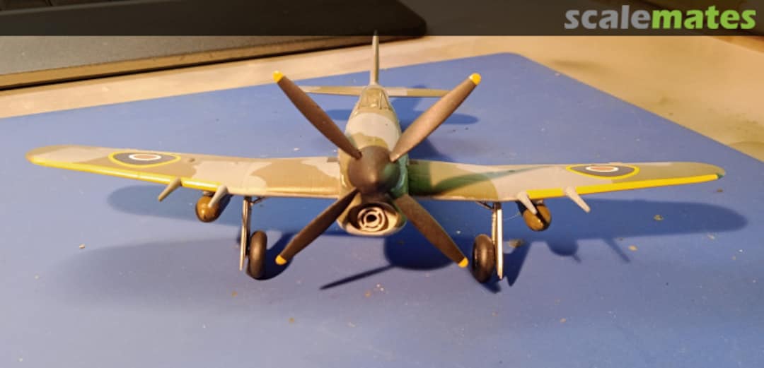 View album, image #1 View album, image #1