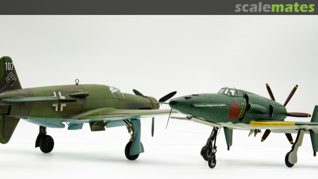 View album, image #49 View album, image #49