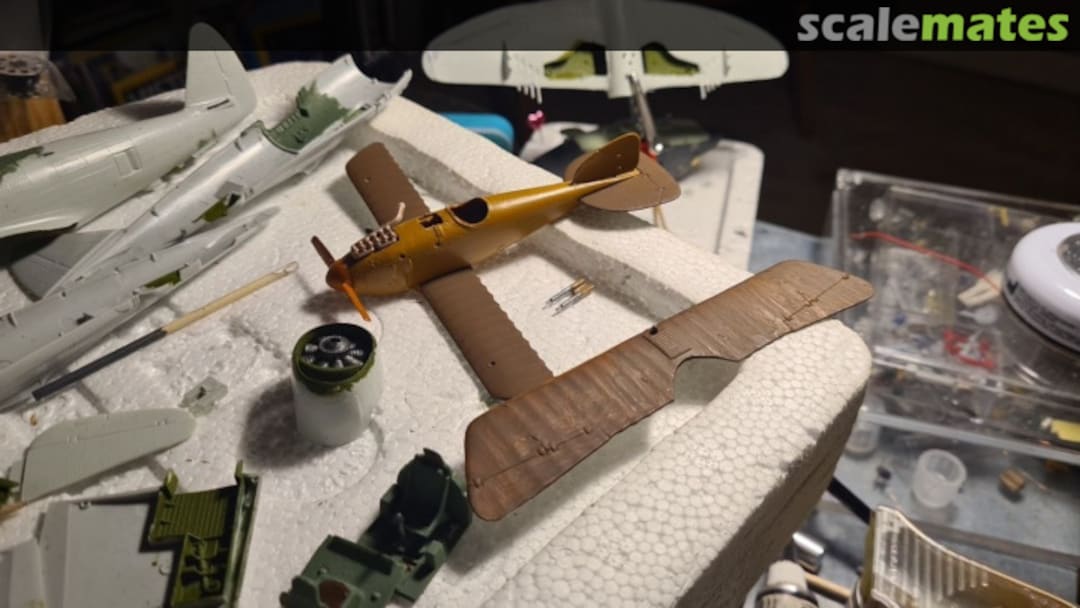 View album, image #8 View album, image #8