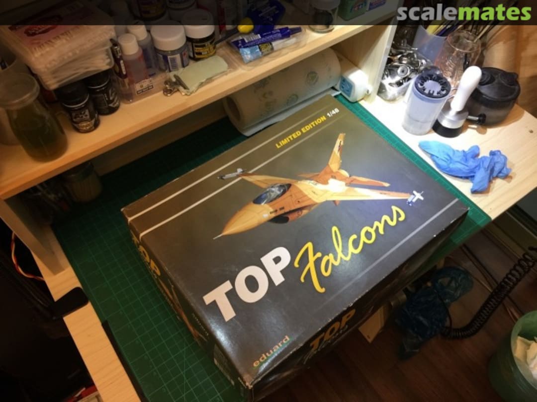 View album, image #1 View album, image #1