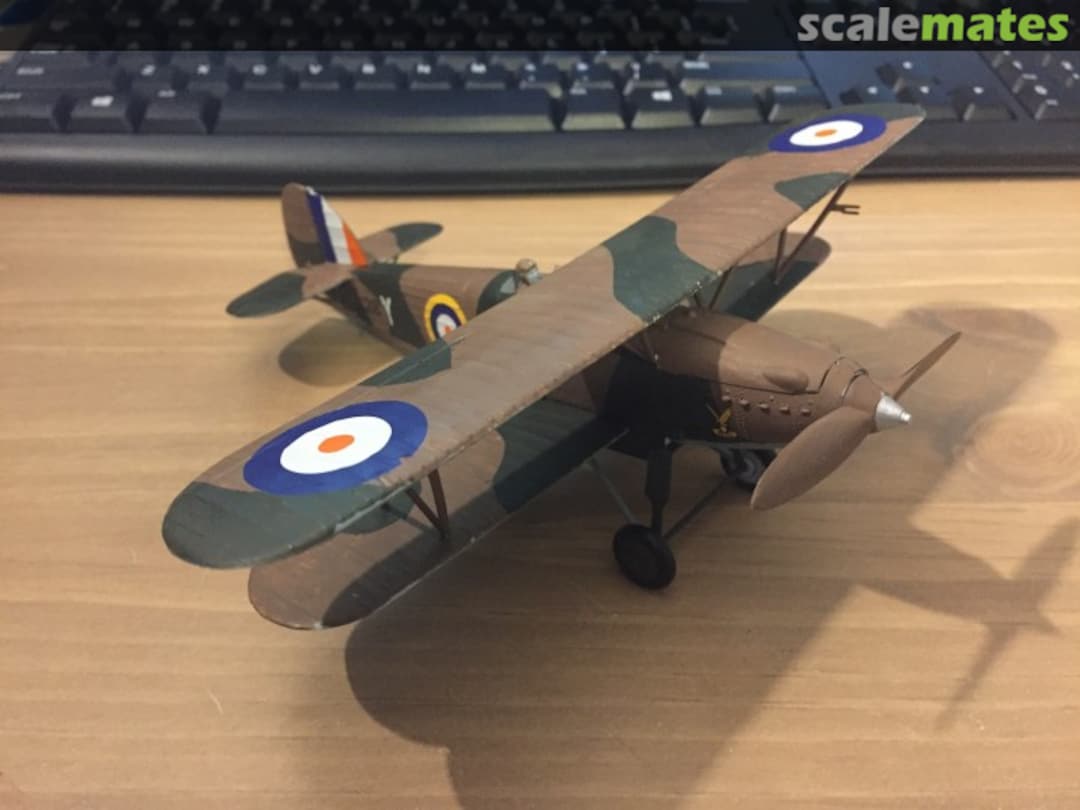 View album, image #1 View album, image #1