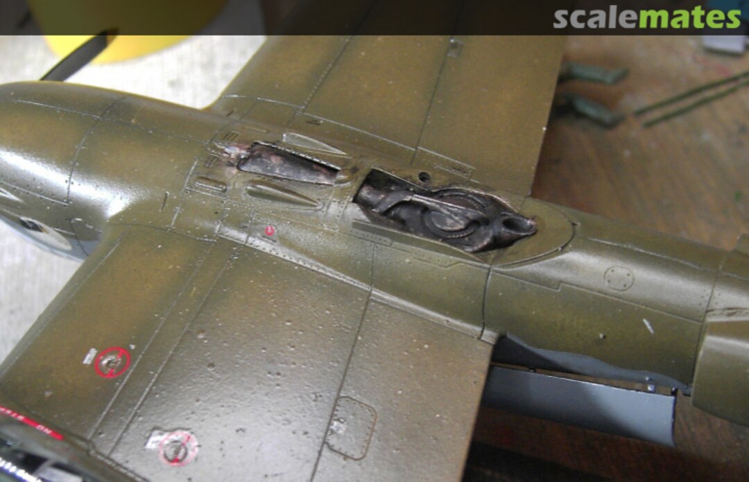 View album, image #1 View album, image #1