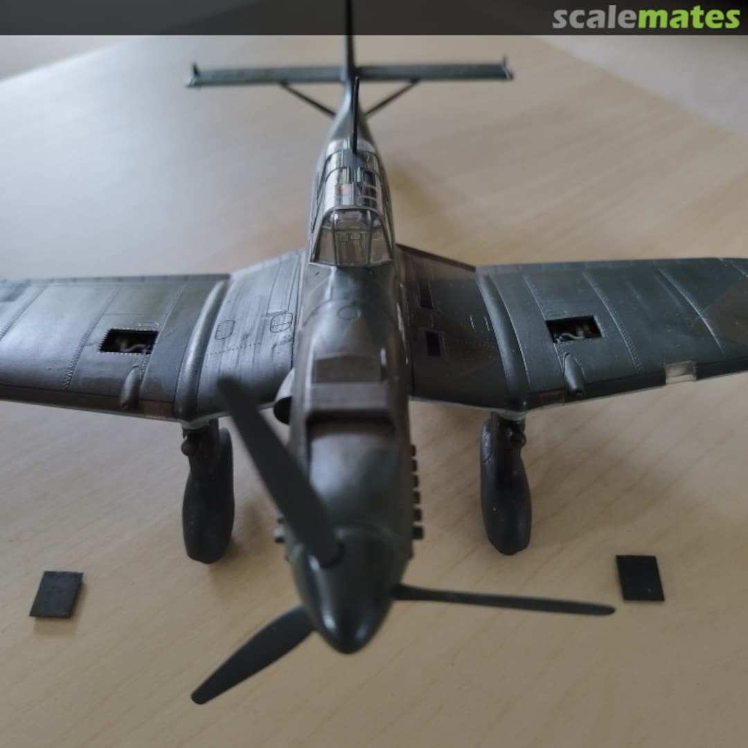 View album, image #1 View album, image #1