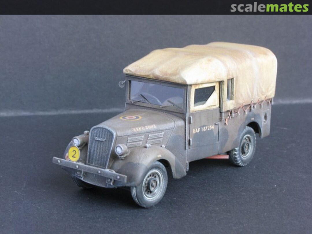 View album, image #1 View album, image #1