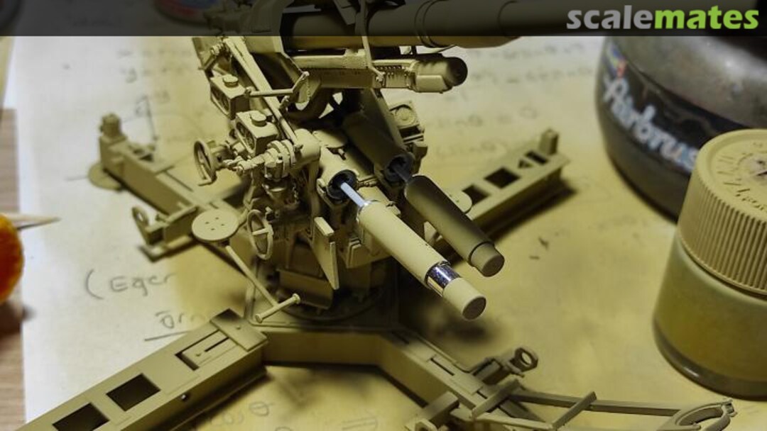 View album, image #8 View album, image #8