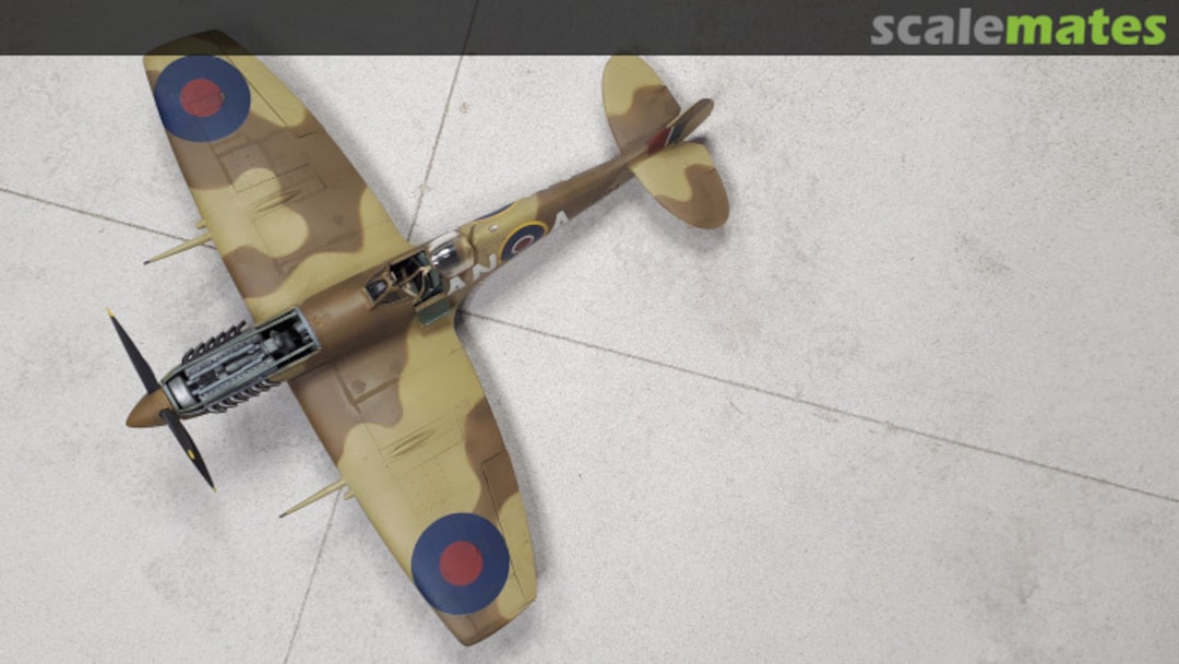 View album, image #1 View album, image #1