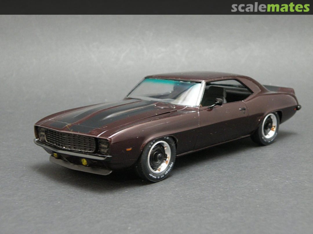 View album, image #1 View album, image #1