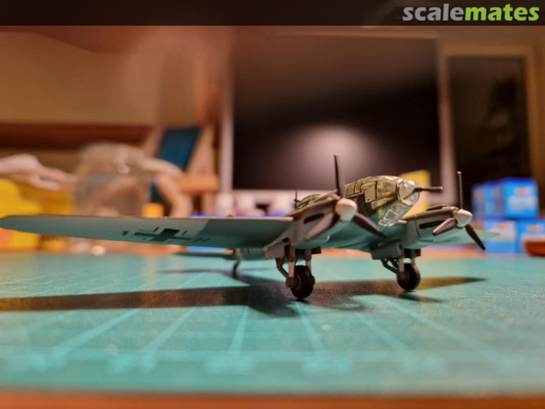 View album, image #1 View album, image #1