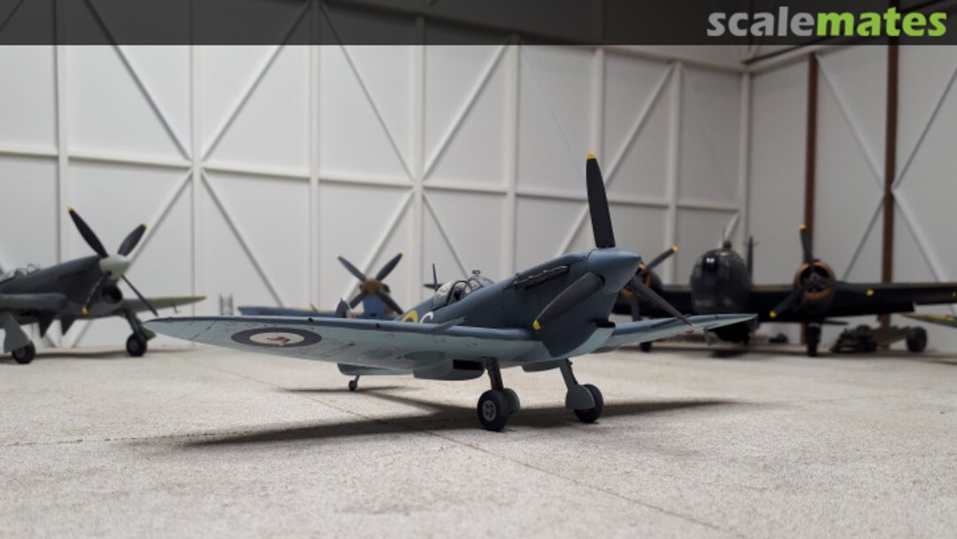 View album, image #1 View album, image #1