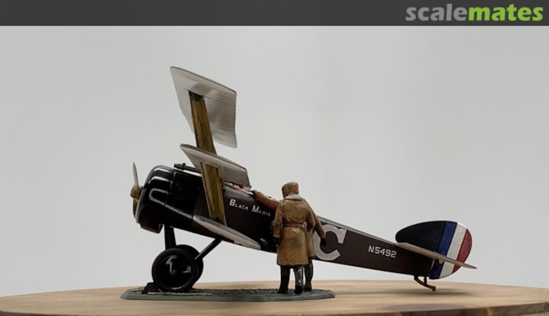 View album, image #2 View album, image #2