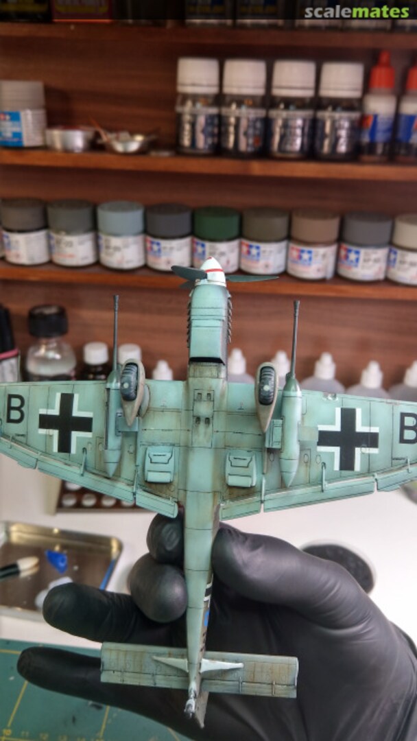 View album, image #1