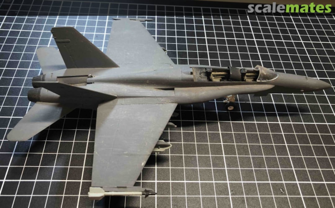 View album, image #1 View album, image #1