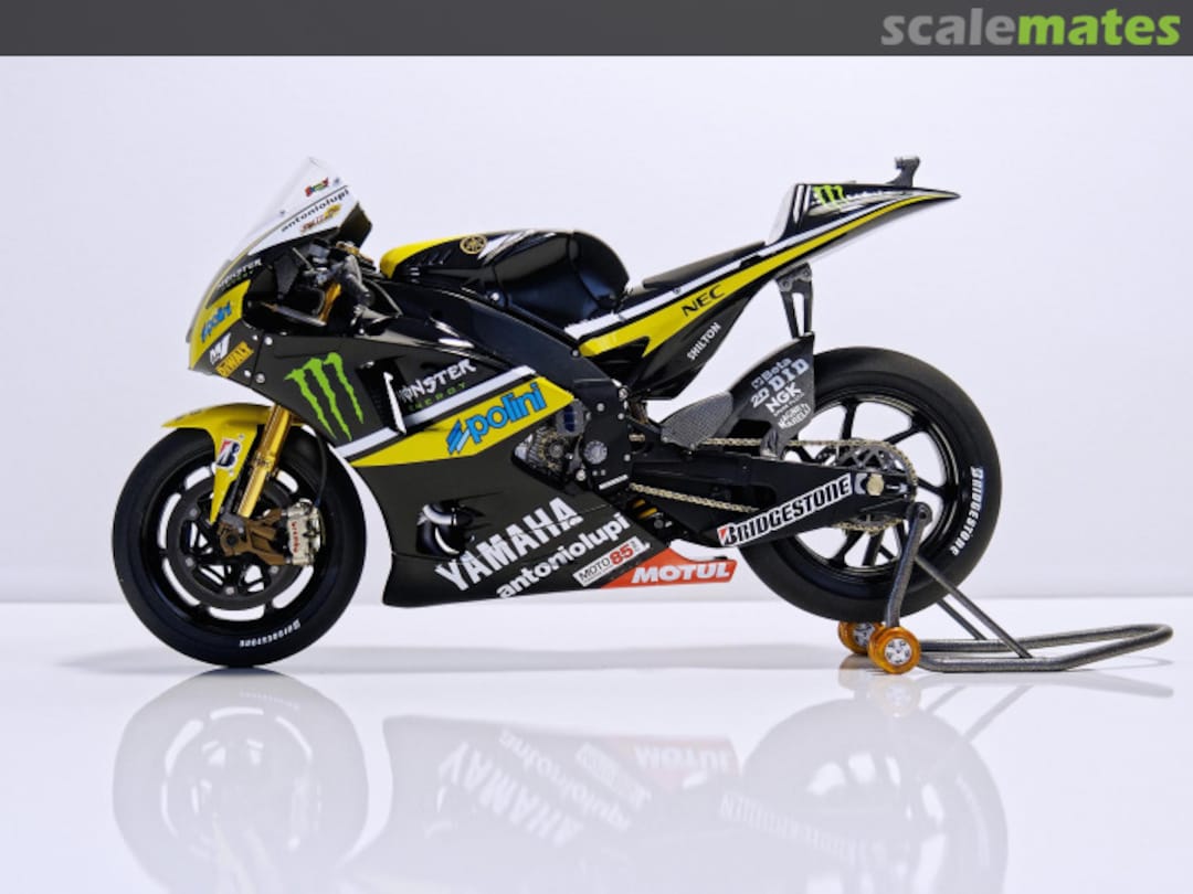 View album, image #11 View album, image #11