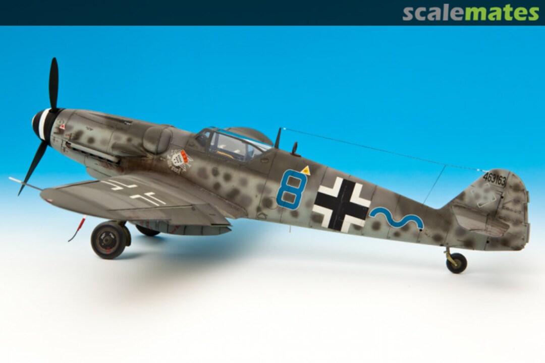 View album, image #1 View album, image #1