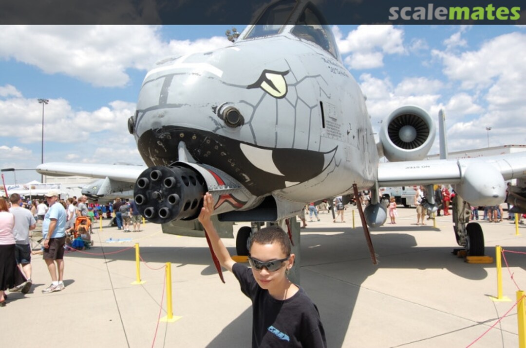 View album, image #1