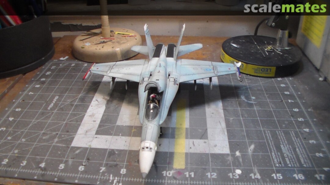 View album, image #1 View album, image #1