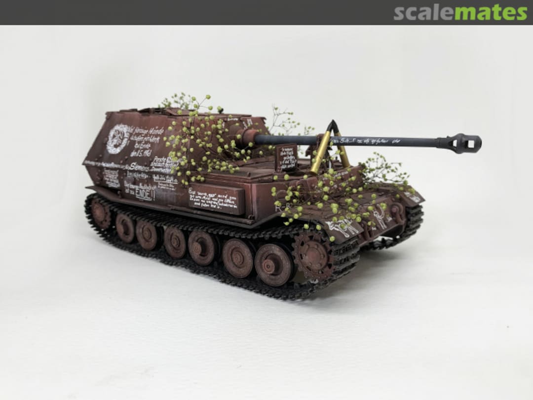 View album, image #1 View album, image #1