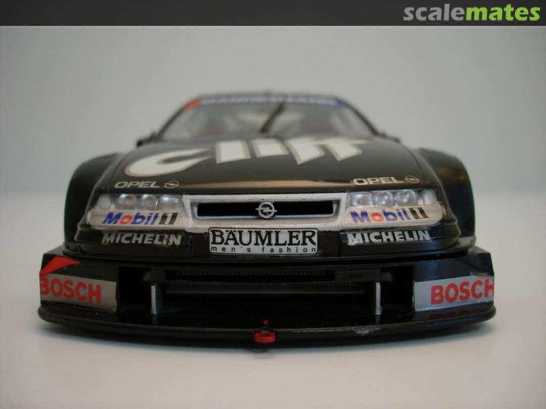 View album, image #1 View album, image #1