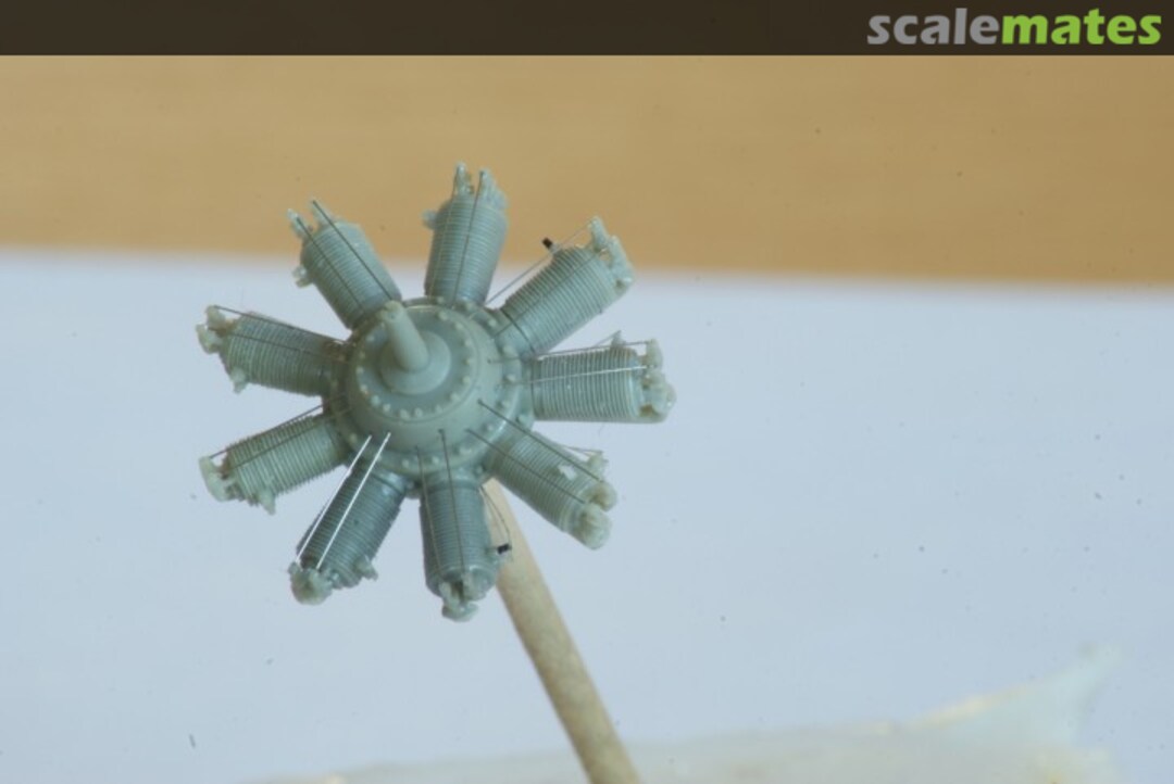 View album, image #7 View album, image #7