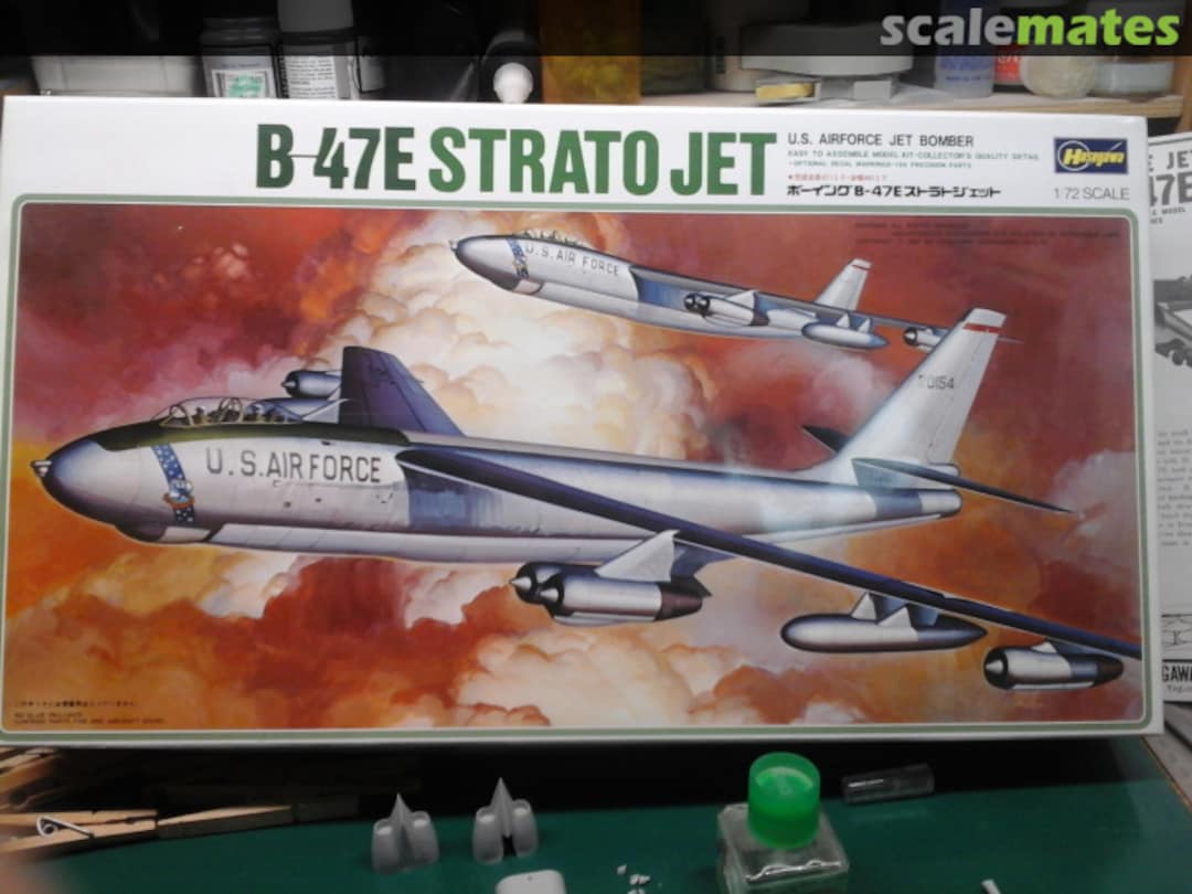 View album, image #1 View album, image #1