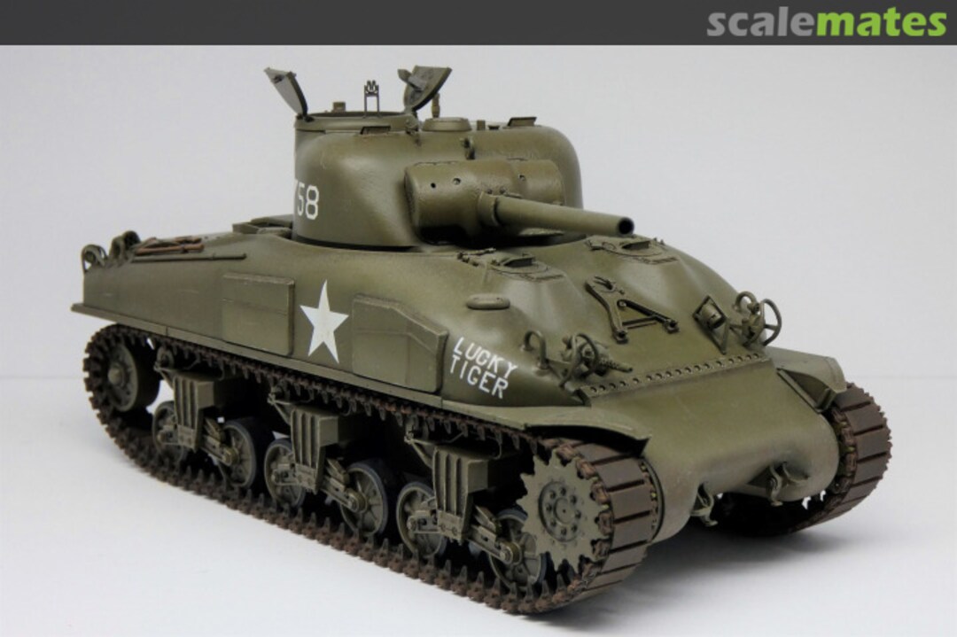 View album, image #2 View album, image #2