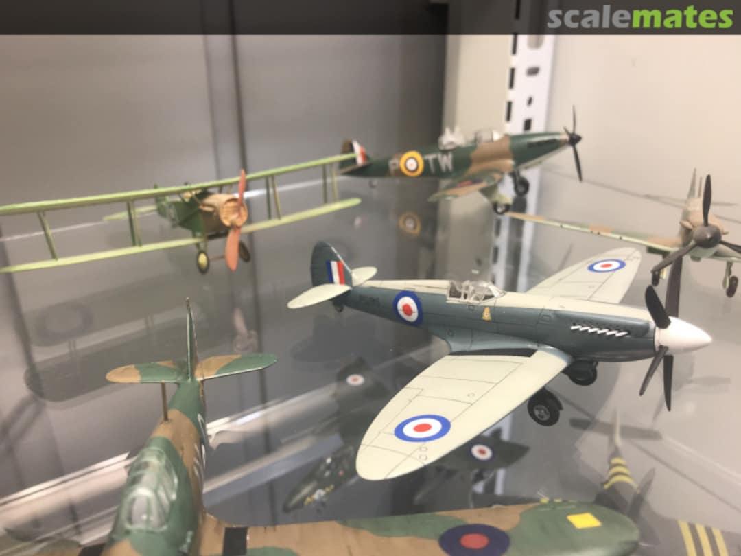 View album, image #15 View album, image #15