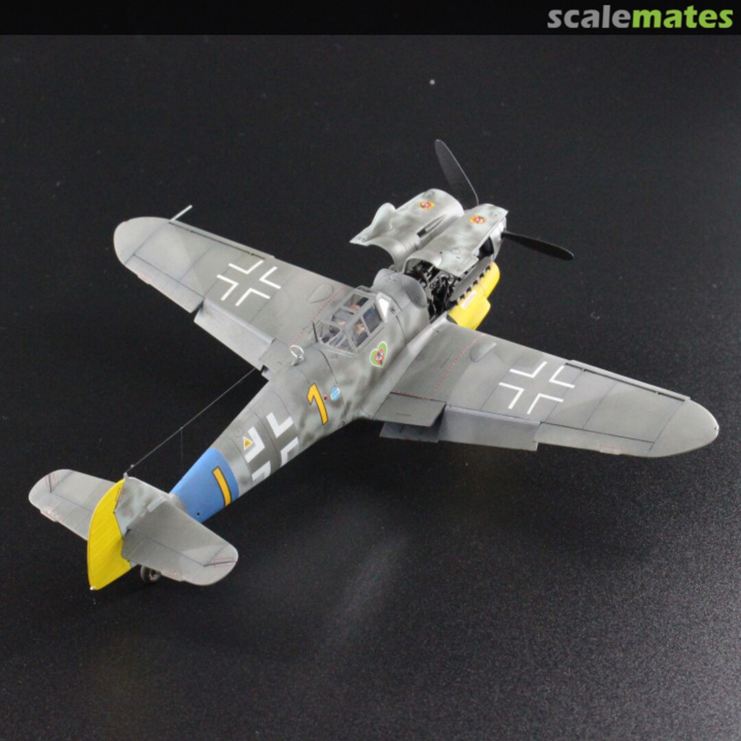 View album, image #1 View album, image #1