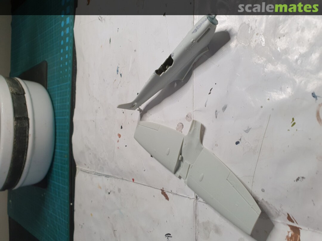 View album, image #1 View album, image #1