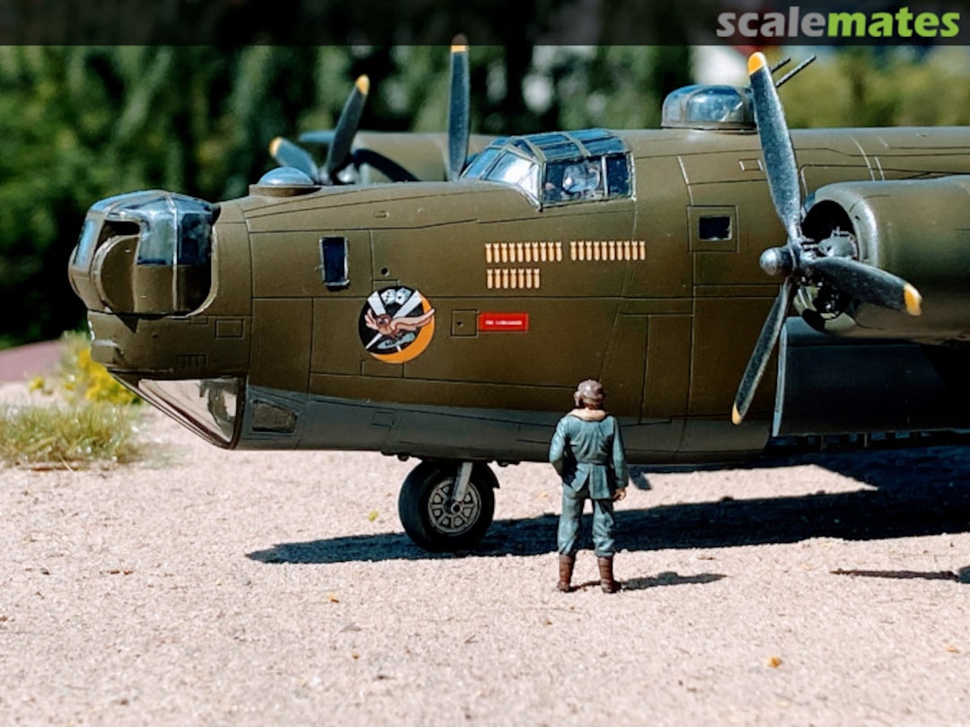 View album, image #1 View album, image #1