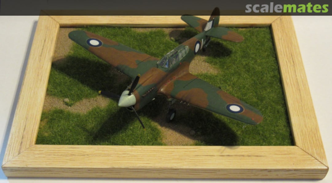 View album, image #5 View album, image #5