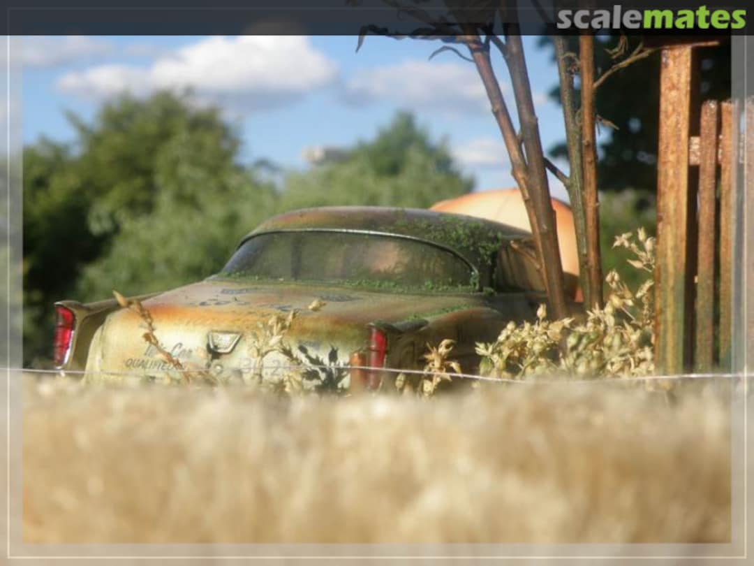 View album, image #38 View album, image #38