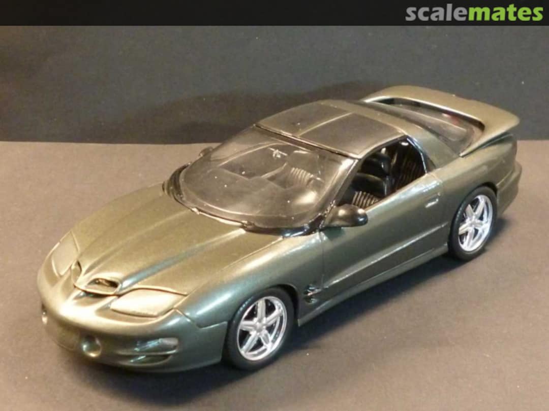 View album, image #1 View album, image #1