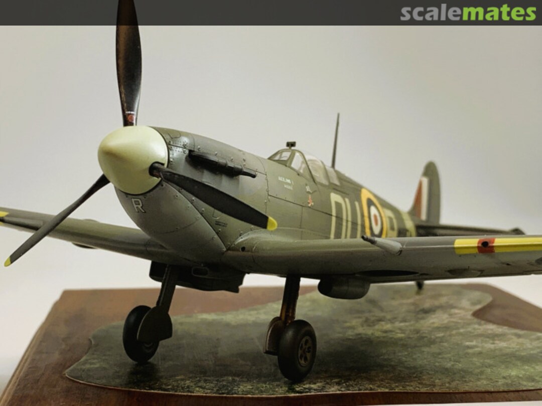 View album, image #1