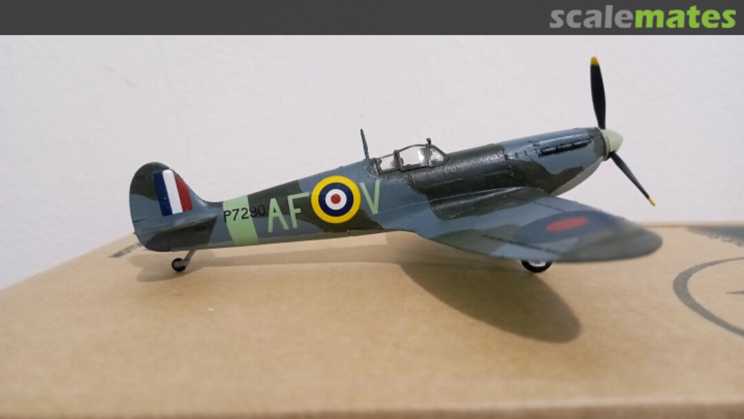 View album, image #1 View album, image #1