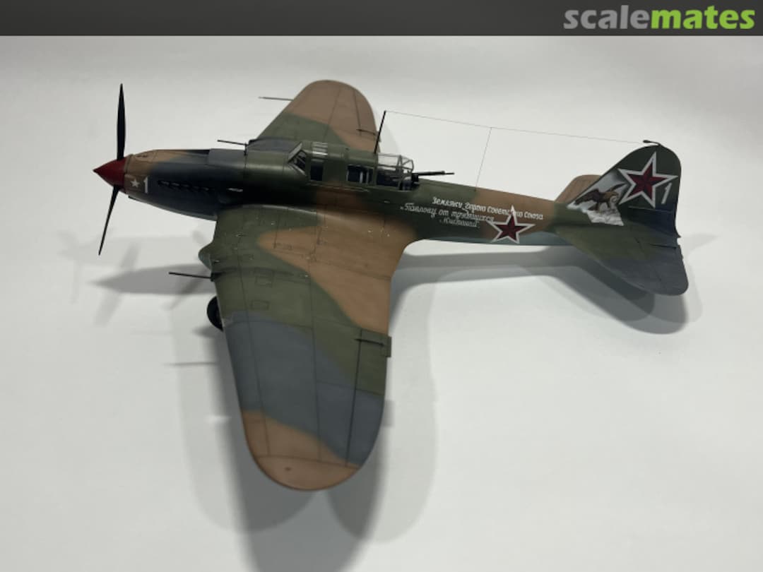 View album, image #1