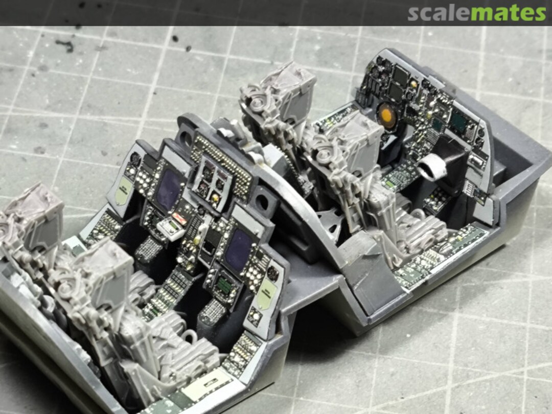 View album, image #3 View album, image #3