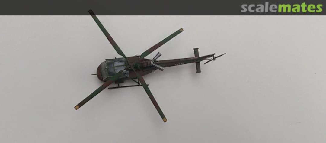 View album, image #1 View album, image #1